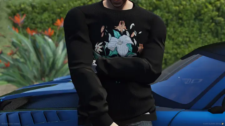 Preview of Raised by Wolves Sweatshirts Pack
