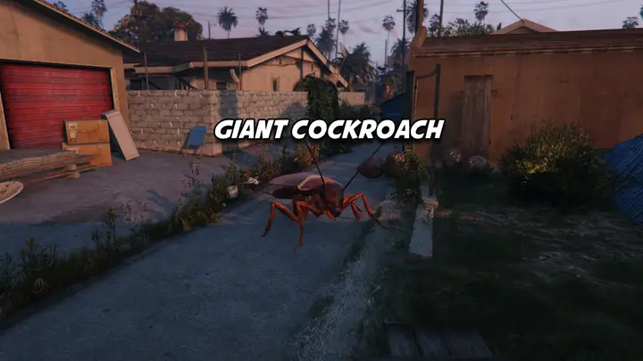 Preview of Giant Cockroach - Addon Animal Ped
