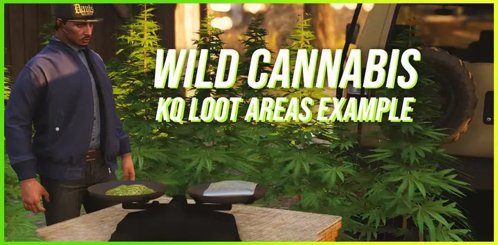 Preview of Wild Cannabis [ESX/QB] [FREE]