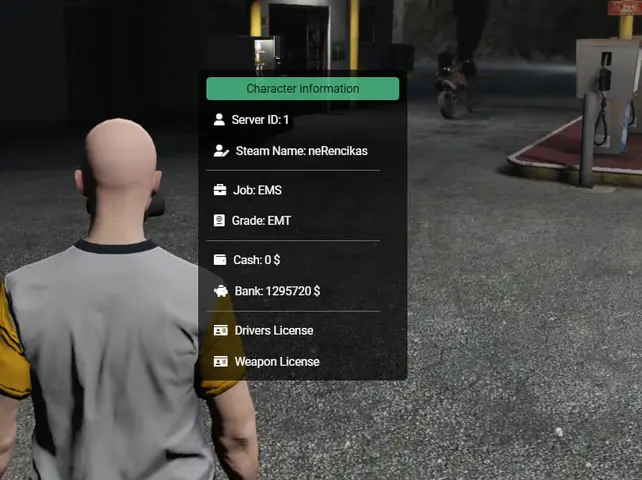 Preview of Player Stats menu