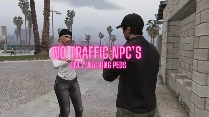 Preview of [ESX] [FREE] NoNpcTraffic Only Walking NPC’S