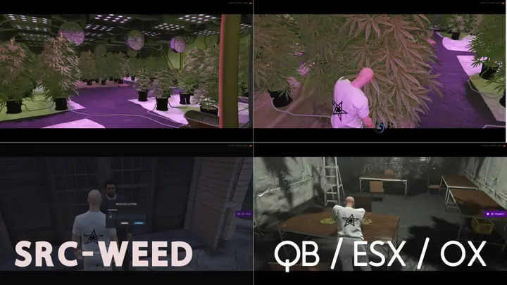 Preview of SRC-WEED [qb/esx/ox]