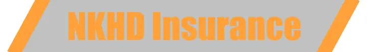 Preview of [FREE] [ESX] NKHD Insurance