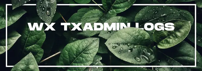 Preview of [FREE] WX txAdmin Logs - Simple, webhook based txAdmin action logging system!
